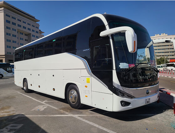 Luxury Bus